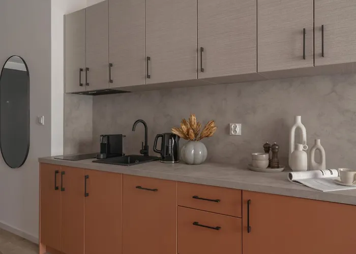 公寓 Apartio 扎布热